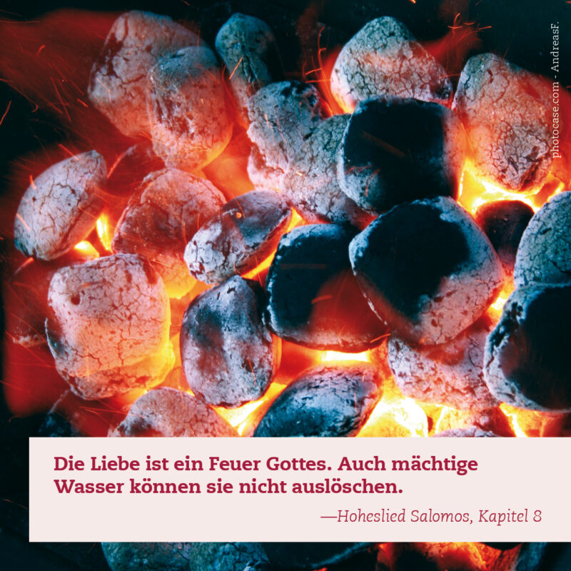 Impulskarten-Lieben_4 Impulskarten-Lieben_4