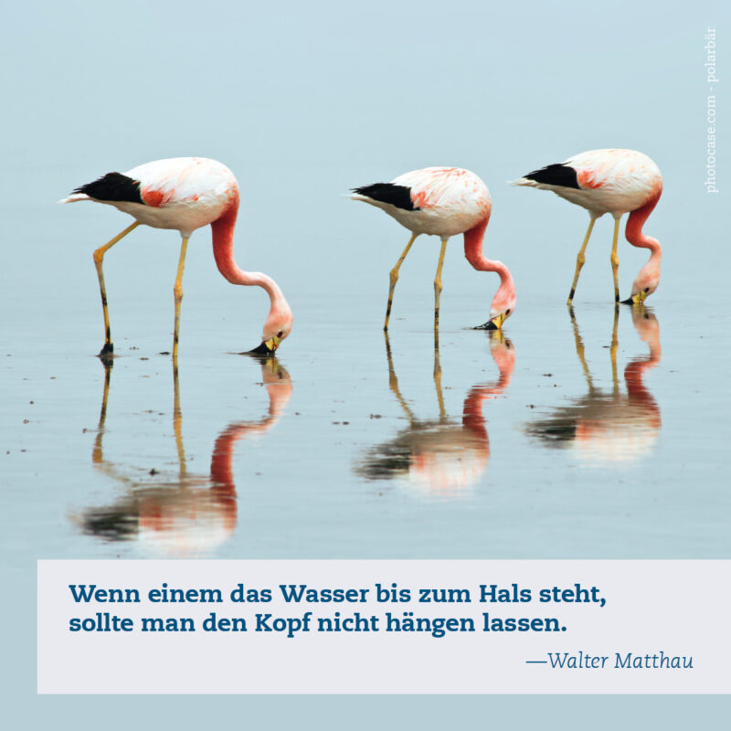 Impulskarten_Hoffnung_2 Impulskarten_Hoffnung_2