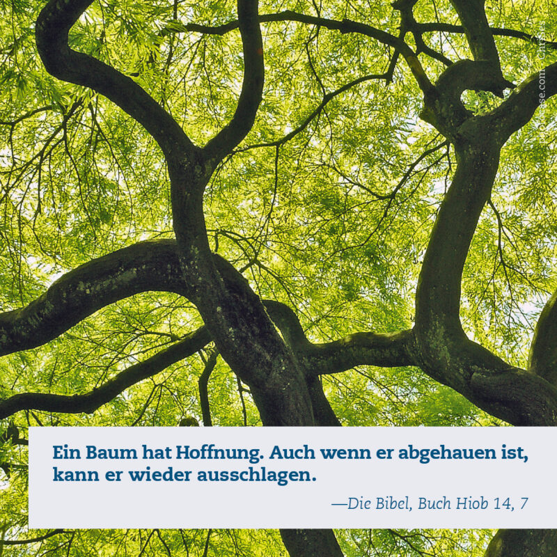 Impulskarten_Hoffnung_5 Impulskarten_Hoffnung_5