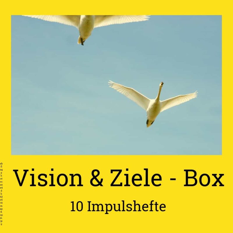 Vision_Ziele_Box