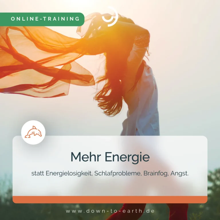 Webinarpaket: Mehr Energie