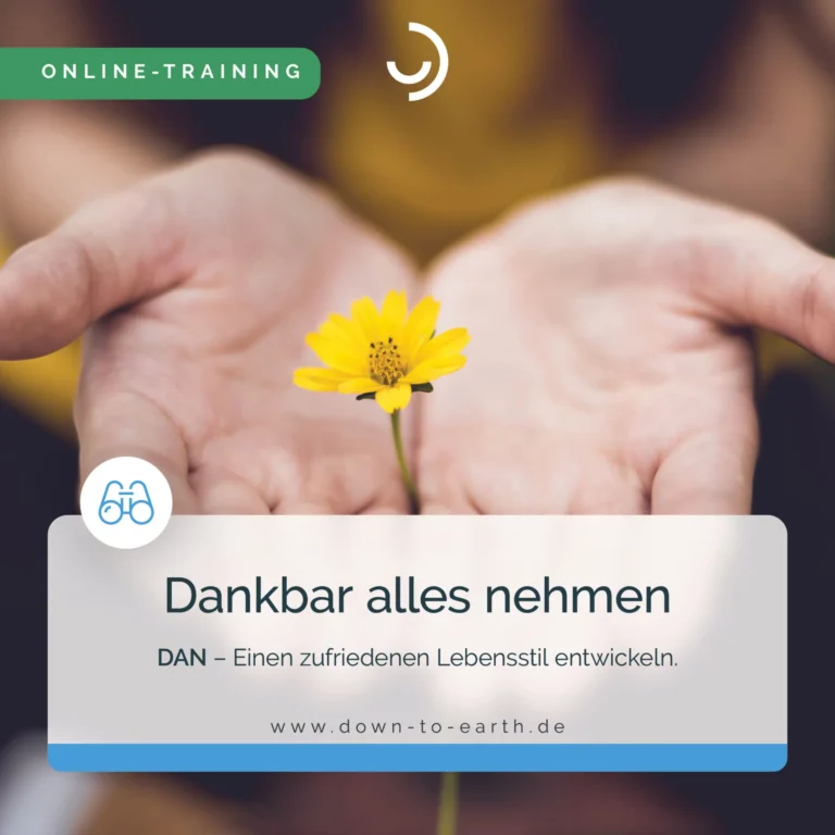 Hände halten gelbe Blume, Online-Training Symbol.