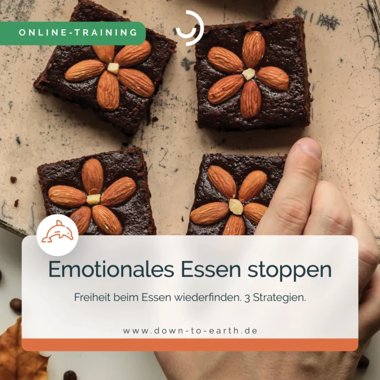 Brownies mit Mandeln und Online-Training Banner.