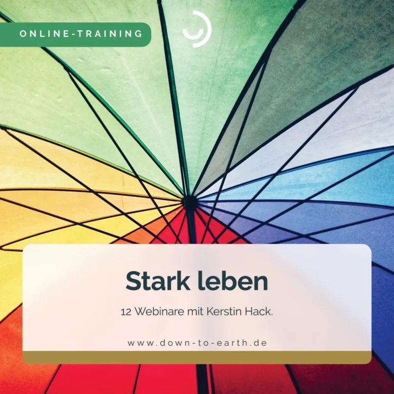 Buntes Regenschirmmuster mit Webinar-Text.
